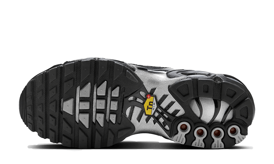 Nike Air Max Plus Black Suede Silver 