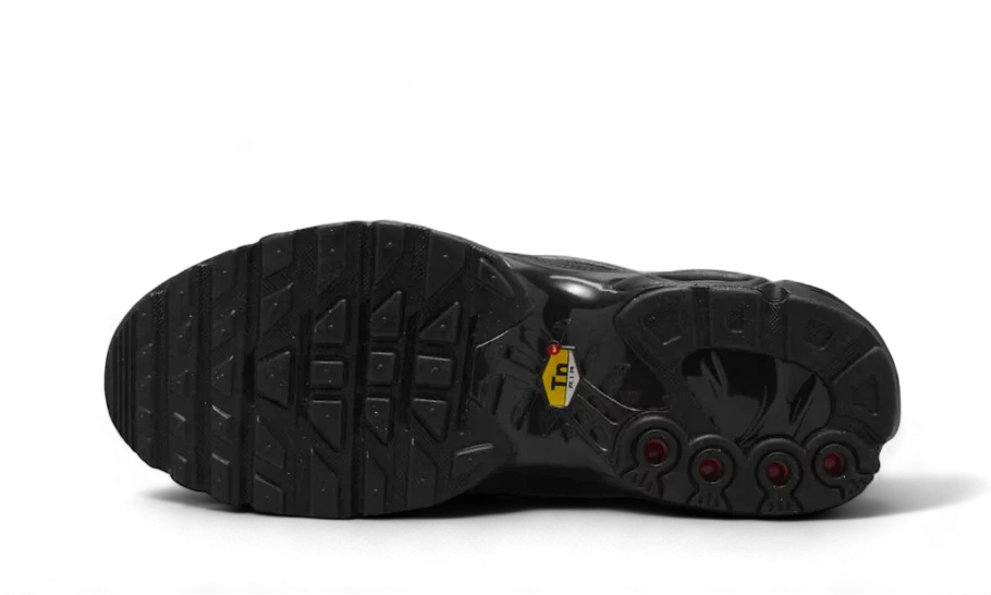 Nike Air Max Plus Tiempo Black White