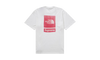 Supreme The North Face S/S Top White
