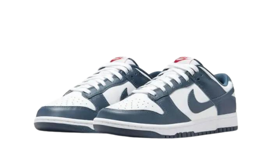 Nike Dunk Low Valerian Blue