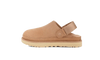 UGG Goldenstar Clog Driftwood