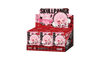 Pop Mart SKULLPANDA Winter Symphony Series Custodia sigillata