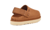 UGG Goldenstar Clog Chestnut