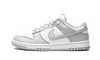 Nike Dunk Low Grey Fog - Secured Stuff