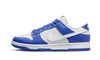 Nike Dunk Low Racer Blue Photon Dust - Secured Stuff